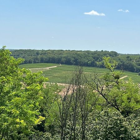 Gouillette Villa Saint-Pey-de-Castets Екстериор снимка